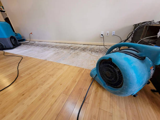 Reliable Basement Flood Cleanup contractor in Wendell, NC by Hirex Water Damage