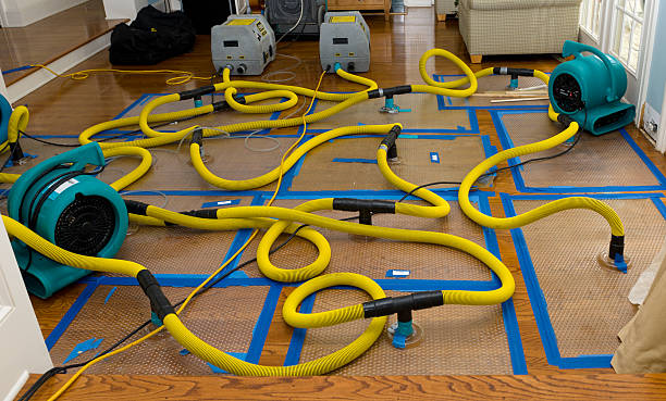 Professional Basement Flood Cleanup technician working in Wendell, NC